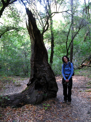 Lori imitates nature