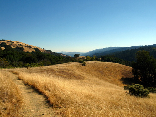 Looking south to Mt Ummanamanum