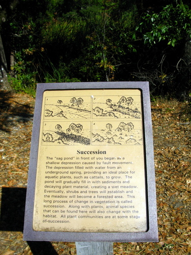 Sag pond description