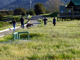 The hyena pack descends on the next tent