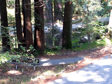 Ponds, springs, and redwoods joined in three places