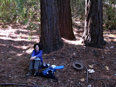 We had lunch near stop J while some animal behind us busily threw stuff out of a tree