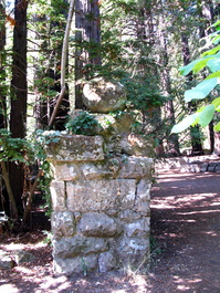 Pillar at Sanborn Park Hostel