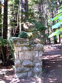 Pillar at Sanborn Park Hostel