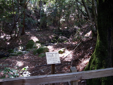 Stop 1: A creek cuts through the alluvial fan