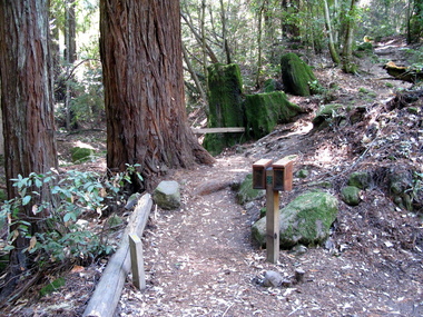 The trail we just walked by