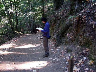 Stop 5: Trail junction (we never found Stop 4)