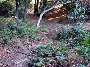 The hard-to-follow trail leads down the scarp