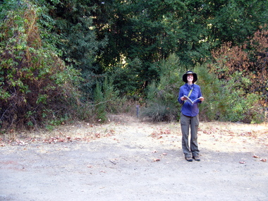 Hidden entrance to trail at Stop C