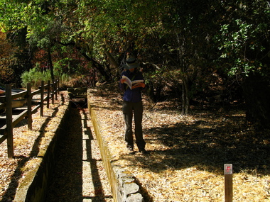 Stop F: A culvert which has undergone right lateral displacement, but I can't see it here...