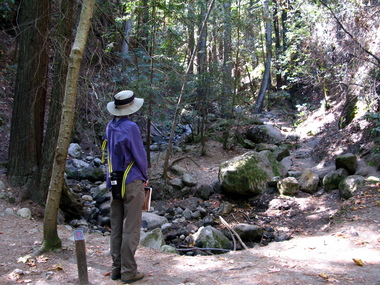 Stop I: Boulders deposited by mass movement