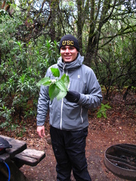 Sean (and PJ) collect stinging nettle for
                       the tea to go with the stew