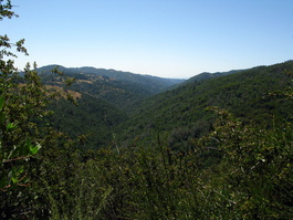 The Coyote Creek drainage