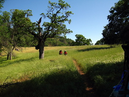 Mike and Jennifer take a stroll through
                            the beautiful oak grasslands