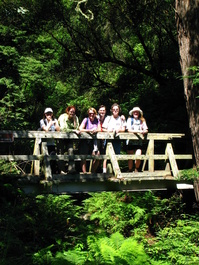 Jing, Elizabeth, Pam, Bill, Joe, and Deb
                       pose on a bridge over Webb Creek, where I had
                       met Milon on the way down