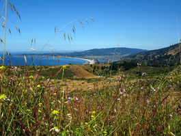 Late wildflowers frame Stinson Beach