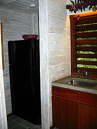 A full refrigerator that had been stocked with fruit that I only found out about on the last day!