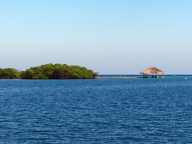 The palapa