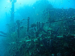 The Prince Albert wreck