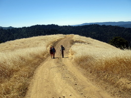 Jen, Mike, and Lori foot it though the
                       golden grasslands