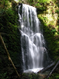 Berry Creek Falls in the spring