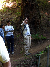 David's iPhone plays the sounds of the thrush and chickadee