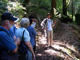 Lichen, choice material for Ohlone diapers