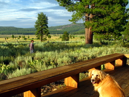 Andrea and Katy enjoy the beautiful backyard