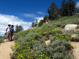 David and Lori enjoying the flowers at the beginning of the trail