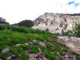 David and Lori enjoying more wildflowers