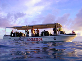 A smiling Nick was always right there to pick us up after an enjoyable dive (Photo by Wendy Wood)