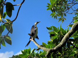 The local wildlife (Photo by John Schwind)