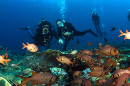 Bill and Lori pose above a pack of squirrel fish (Photo by John Schwind)