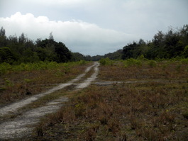 The runway that was the objective of the American invasion (Photo by Keith Hebert)