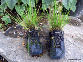 Innovative planters