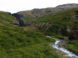 The gorge leading up to the falls; note the log bridge we will be crossing