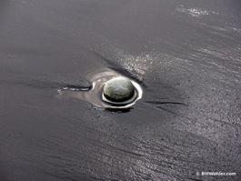 The sun reflects off water around a rock on a black sand beach