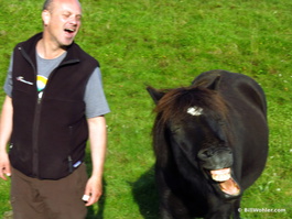 Gunnar and the horse laugh at one of Dan's jokes