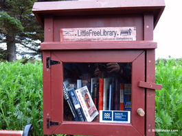A Little Free Library in the Hljomskalagardur Park