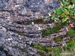 Curves formed by lava flows