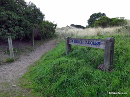 A Beach Access sign--so civilized!