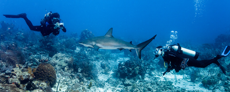 Kimberly catches a shark playing with Bill and Lori (Photo by Kimberly Randal)