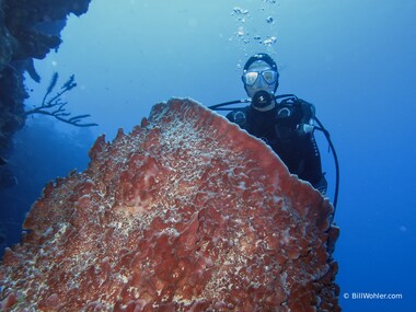 Lori emerges from the sponge unscathed