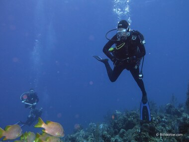 Lori dances to the music (in her head)