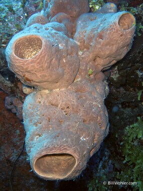 Hello, can I help you?