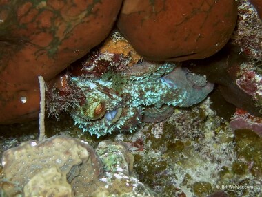 ...and then the nearby rocks.