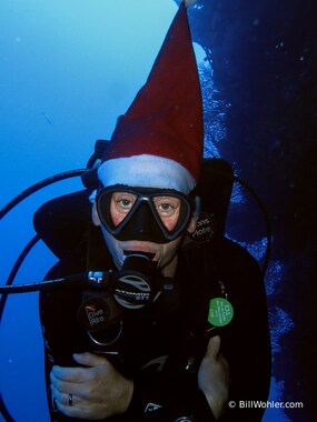 Amanda swims around to see if the boys and girls have been good