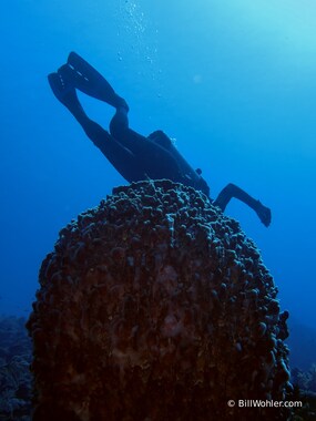 Uh oh. Lori feels the pull of a giant sponge...