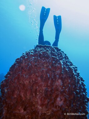 ...and it sucks her right in