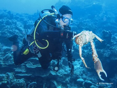 Lori takes this channel clinging crab to the ER, but I'm afraid it's too late